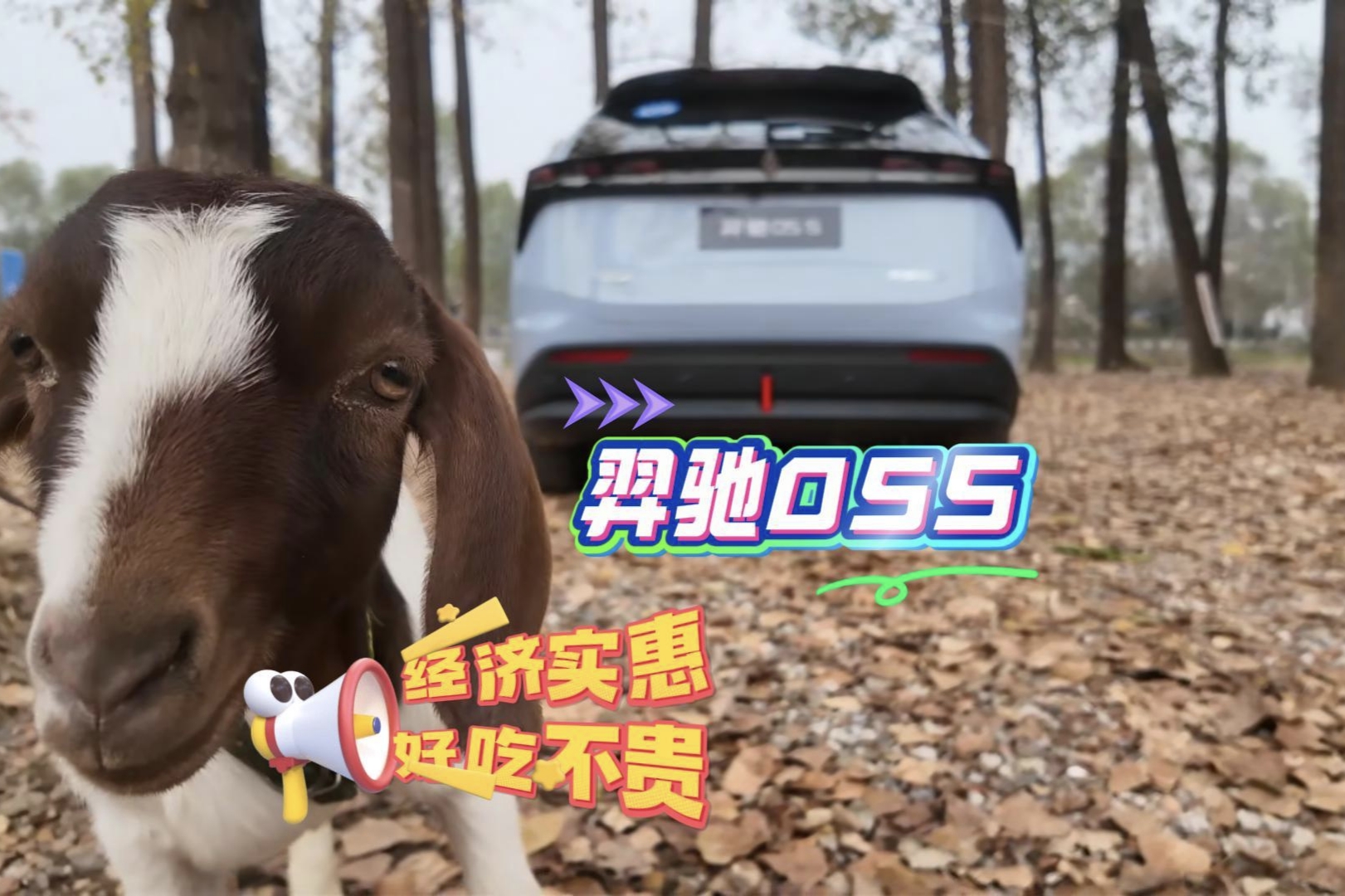 羿驰05s试驾 不盲追