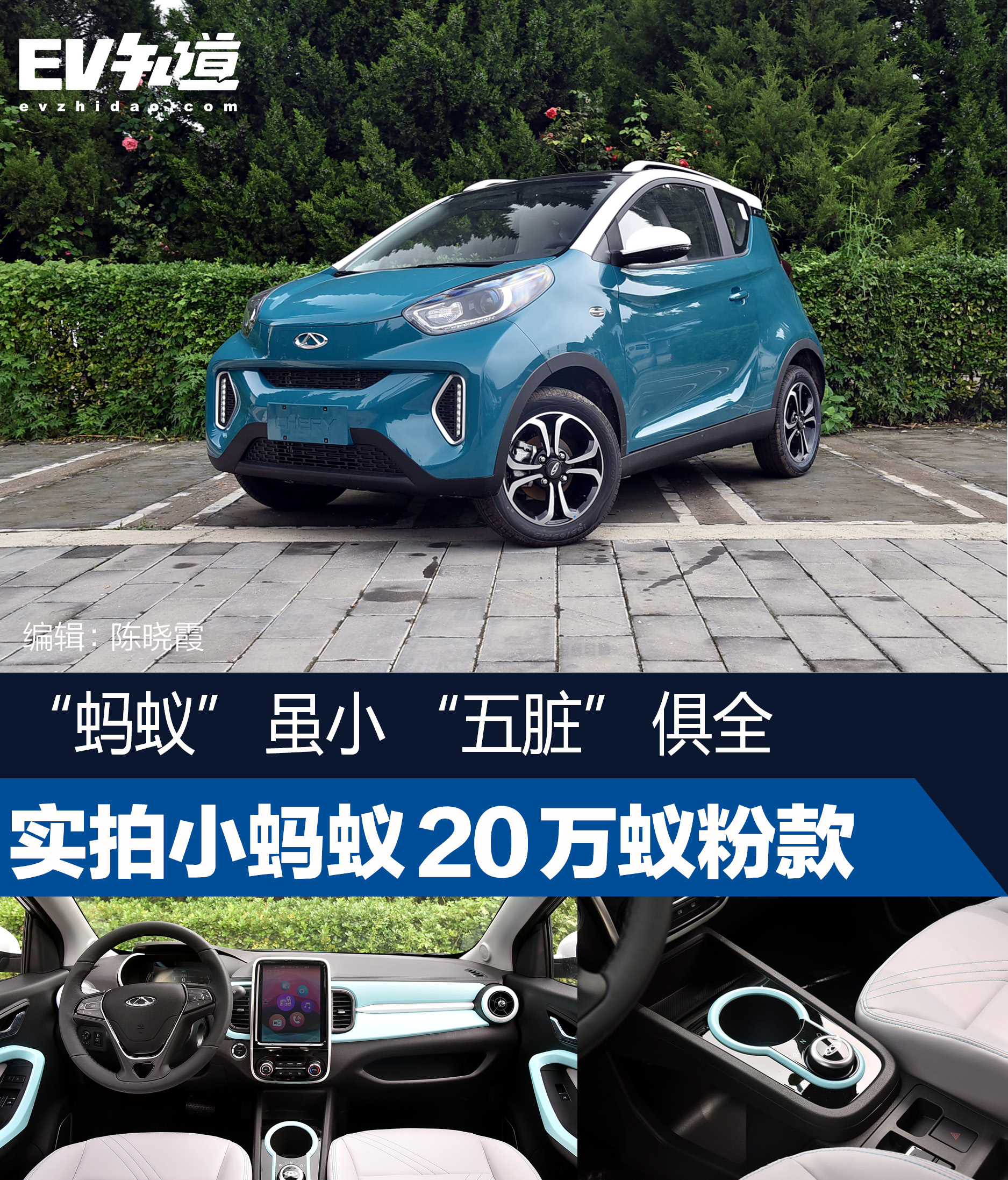 “螞蟻”雖小“五臟”俱全 實拍小螞蟻20萬蟻粉款