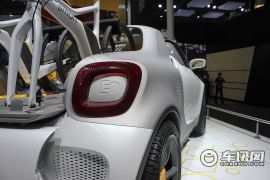 Smart-Smart for-us(进口)