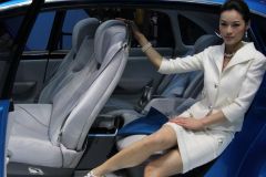 比亚迪戴姆勒-DENZA