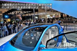 比亚迪戴姆勒-腾势DENZA-基本型