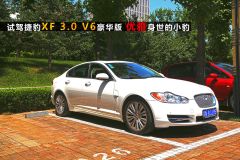 捷豹-捷豹XF(进口)