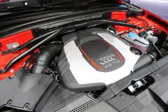 奥迪-奥迪SQ5(进口)