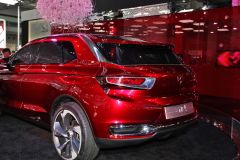 长安标致雪铁龙-DS-WR