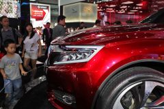 长安标致雪铁龙-DS-WR