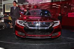 长安标致雪铁龙-DS-WR