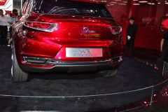 长安标致雪铁龙-DS-WR