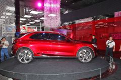 长安标致雪铁龙-DS-WR