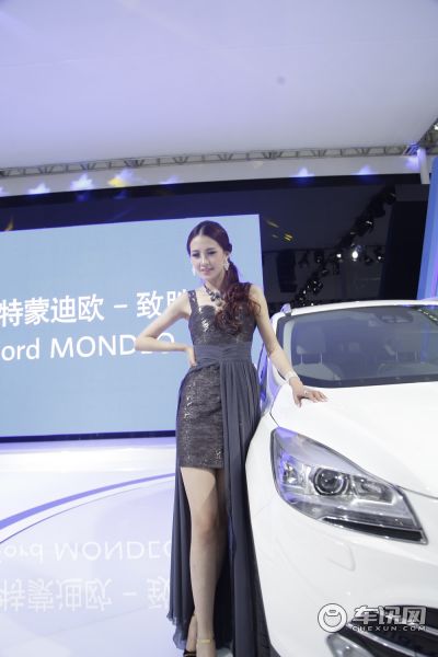 长安福特6号车模