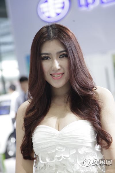 天津一汽3号车模