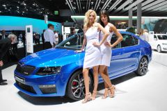 斯柯达-明锐(进口)