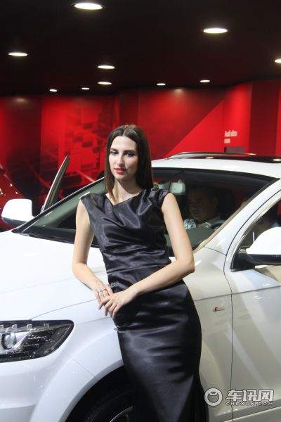 奥迪(进口)3号车模