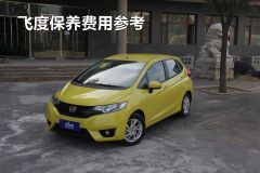 广汽本田-飞度-1.5L SE CVT时尚型-保养  ￥8.88