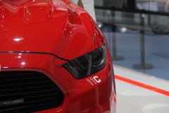 赛麟汽车-赛麟野马