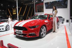 赛麟汽车-赛麟野马