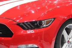 赛麟汽车-赛麟野马