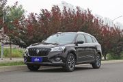 宝沃汽车-宝沃BX7-2.0T TS特装运动版