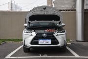 雷克萨斯-雷克萨斯NX-300h 全驱 锋致版