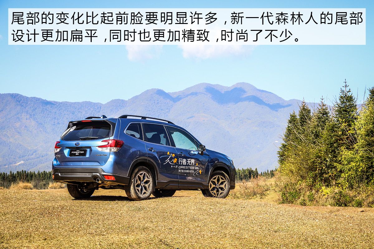 技术宅的自我修养 试新一代斯巴鲁森林人