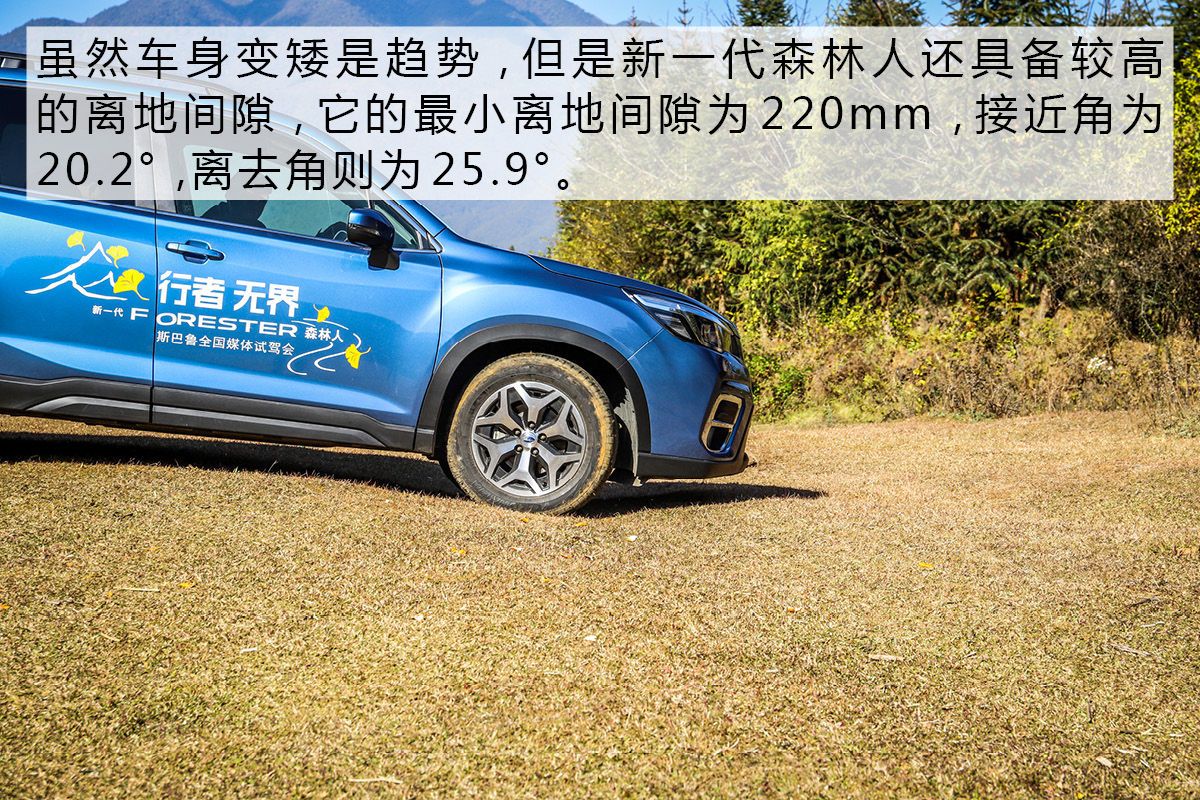 技术宅的自我修养 试新一代斯巴鲁森林人