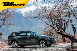 Mazda CX-8¡°¼ÝÏí·çÑÅËÌ¡ªÌÒØ²Æª¡±²ÓÀÃÊÕ¹Ù