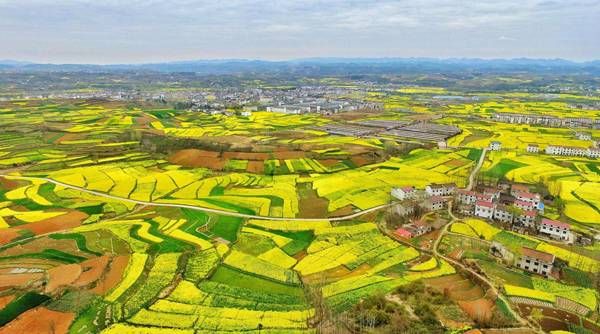 春季赏花攻略驾到,无限春光尽收眼底