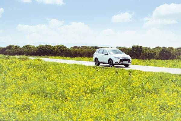 春季赏花攻略驾到,无限春光尽收眼底