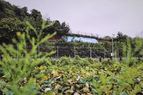 三问采埃孚，揭秘零愿景日的奥秘