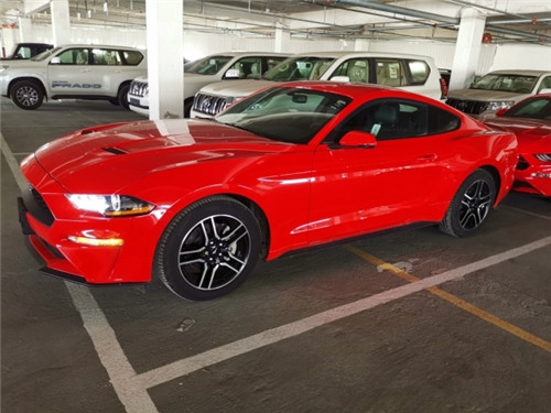 dealer_default_ccd314d771f14064ad230fe81d5679da.jpg