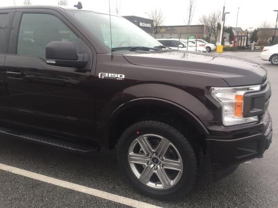 福特猛禽报价 福特皮卡F150最新报价   