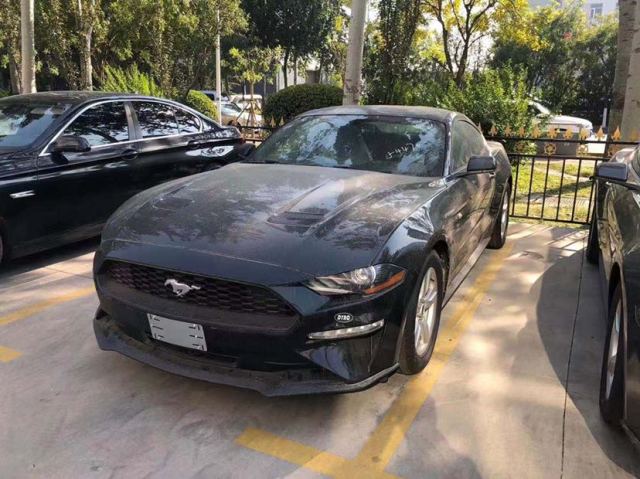 dealer_default_3a0e9cfb30cf4108b89e3225129d8216.jpg