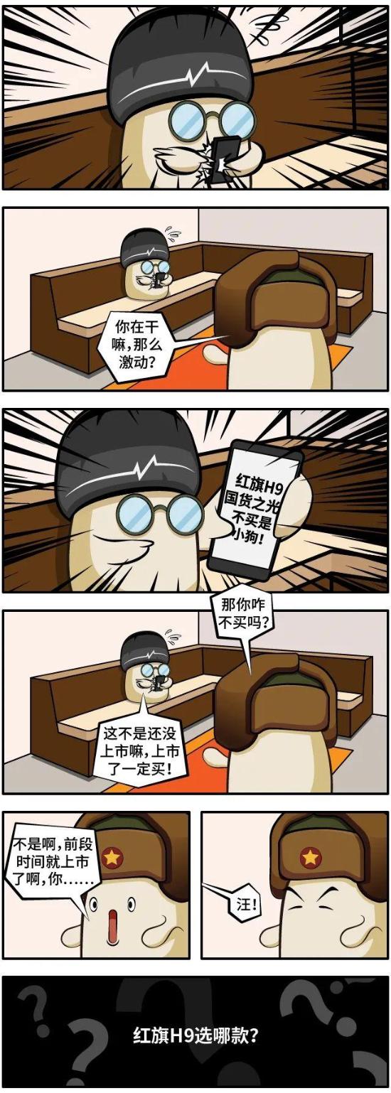 红旗H9选哪款？拼多多买车靠不靠谱？以旧换新怎么做最好？