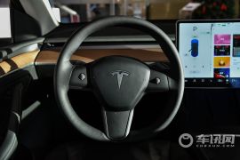 TESLA-MODEL Y-长续航全轮驱动版