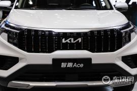 东风悦达起亚-智跑-基本型