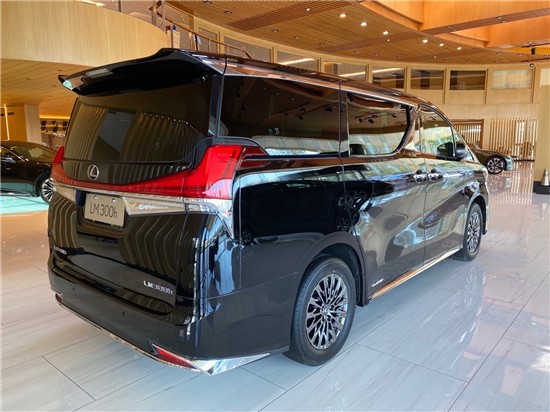 雷克萨斯LM300帅气又实用 值得拥有    