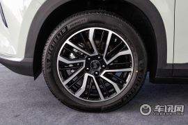 威马汽车-威马W6-520km PRO全能版   ￥18.98