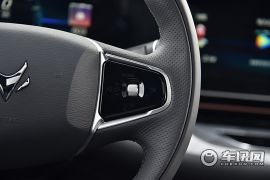 北汽新能源-极狐 阿尔法S-603H