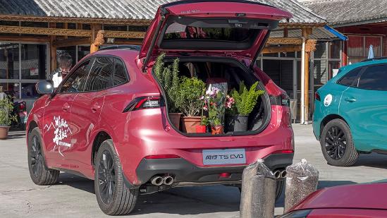 加油站之敌？我在大理把风行 T5 EVO开出3.6L