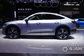 上汽奥迪-Q5 e-tron