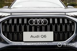 上汽奥迪-Q6-50 TFSI quattro 凌云版 edition one