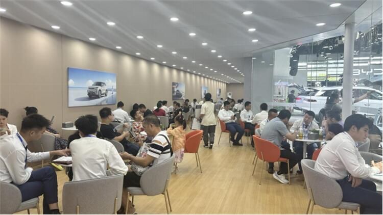 大美智省值！第二代宋Pro DM-i上市 11.28万元起