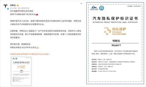 特斯拉上海超级工厂11月交付7.9万辆电动车，国内销量创年内新高