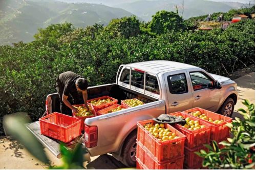  中国民生第一车 长城风骏全球累计销量突破200万辆