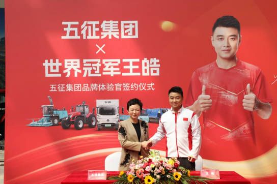 冠军征途：王皓与飞碟汽车的双向破局   