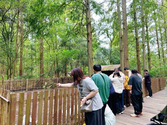 吉利汽车“金秋趣野 驭见吉利” 上海华庭崇明自驾游圆满收官