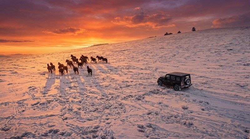 212 T01長風柴油上市發布暨1212用戶年度慶典圓滿落幕