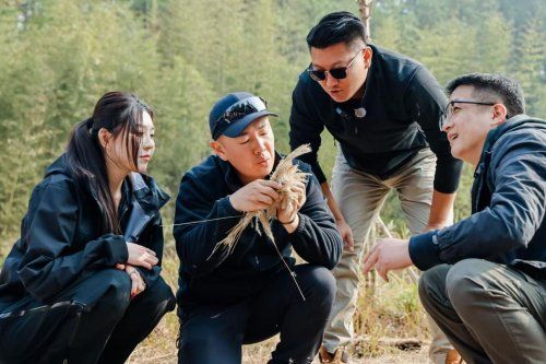 不止于越野，长城炮荒野体验营用安全与责任，重塑户外探索新范式