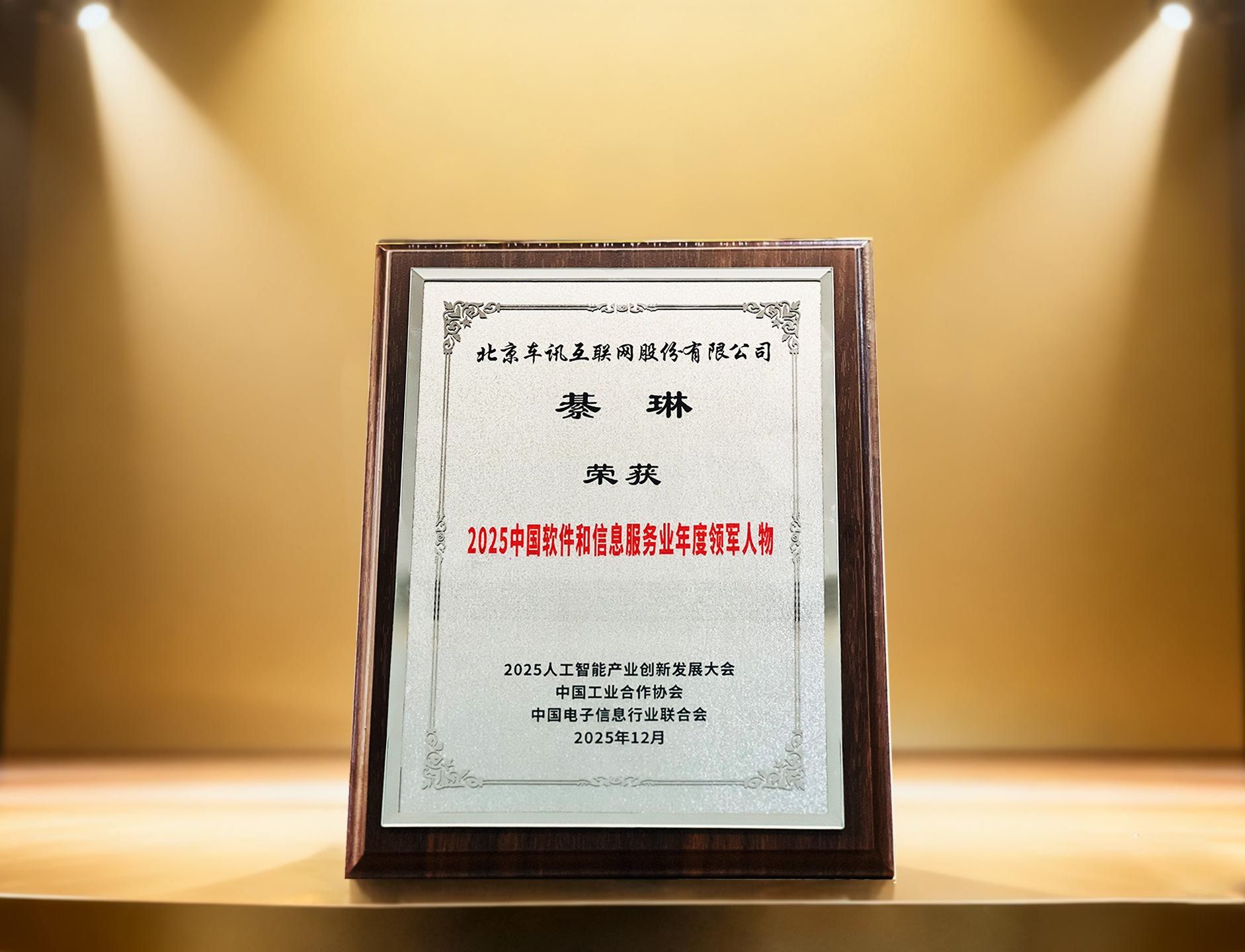 车讯互联董事长綦琳荣获“中国软件和信息服务业年度领军人物”