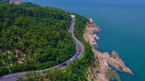 国内出口销量双第一2025年长城皮卡“高质量市占率”定义双料冠军