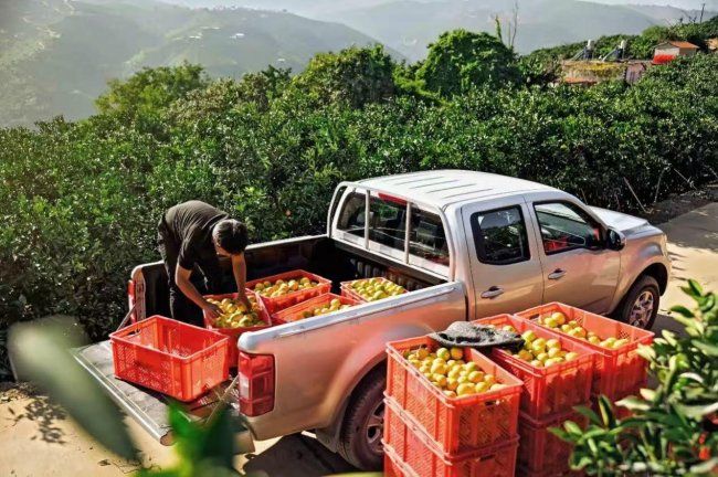 新年开门红 长城皮卡1月全球销售15350辆 蝉联中国皮卡销冠
